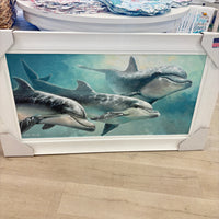 Dolphin Pod Framed Print