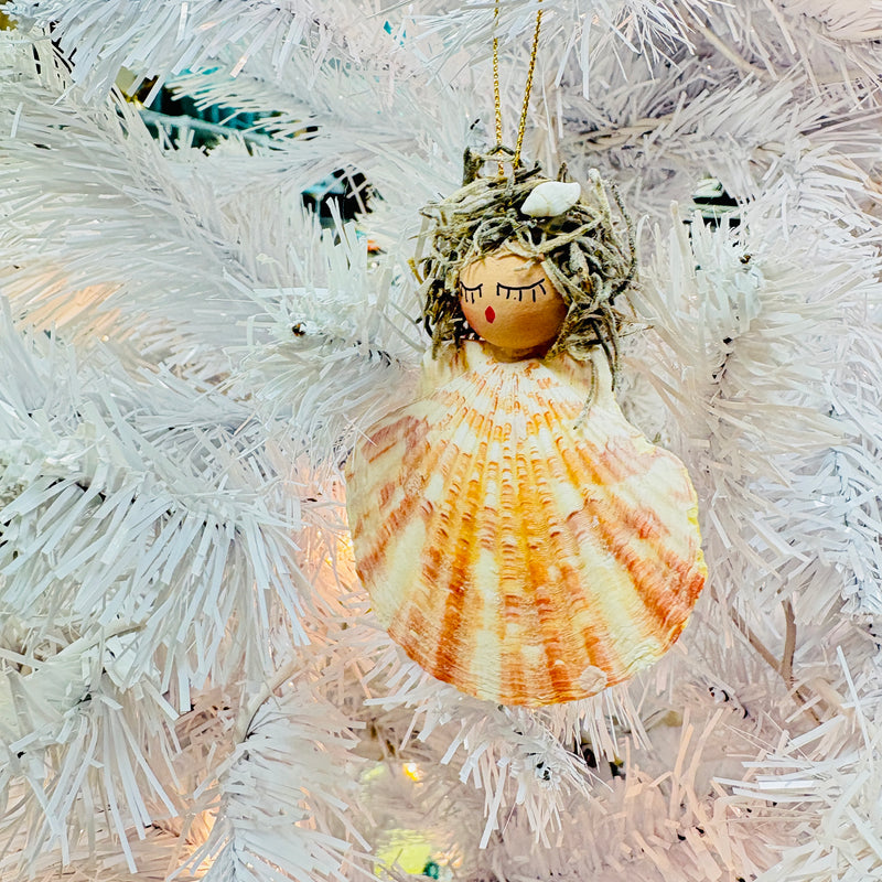 Assorted Scallop Shell Angel Ornament