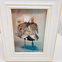 Assorted Artist Prints of Original Paintings: Birds
