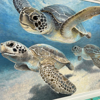 Trio of Swimming Turtles Framed Print