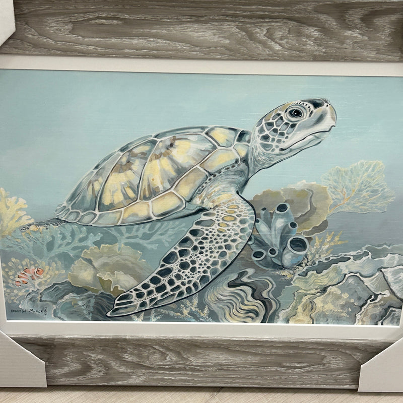 Turtle In Coral Underwater Framed Print