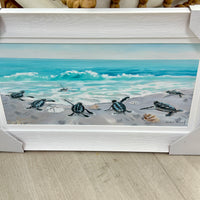 Six Hatchlings on Shore Framed Print