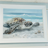 Solo Turtle on Shore Framed Print