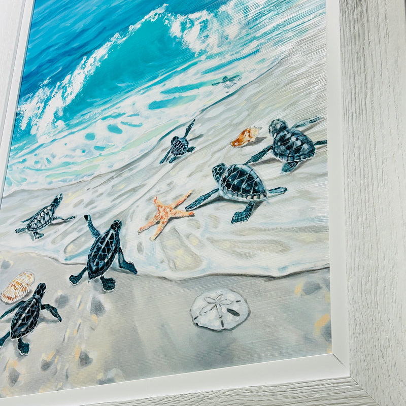 6 Hatchlings at Shoreline Framed Print