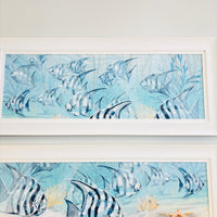 Bay Fish Framed Print
