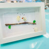 Assorted Inspiring Bird Pebble & Driftwood Art