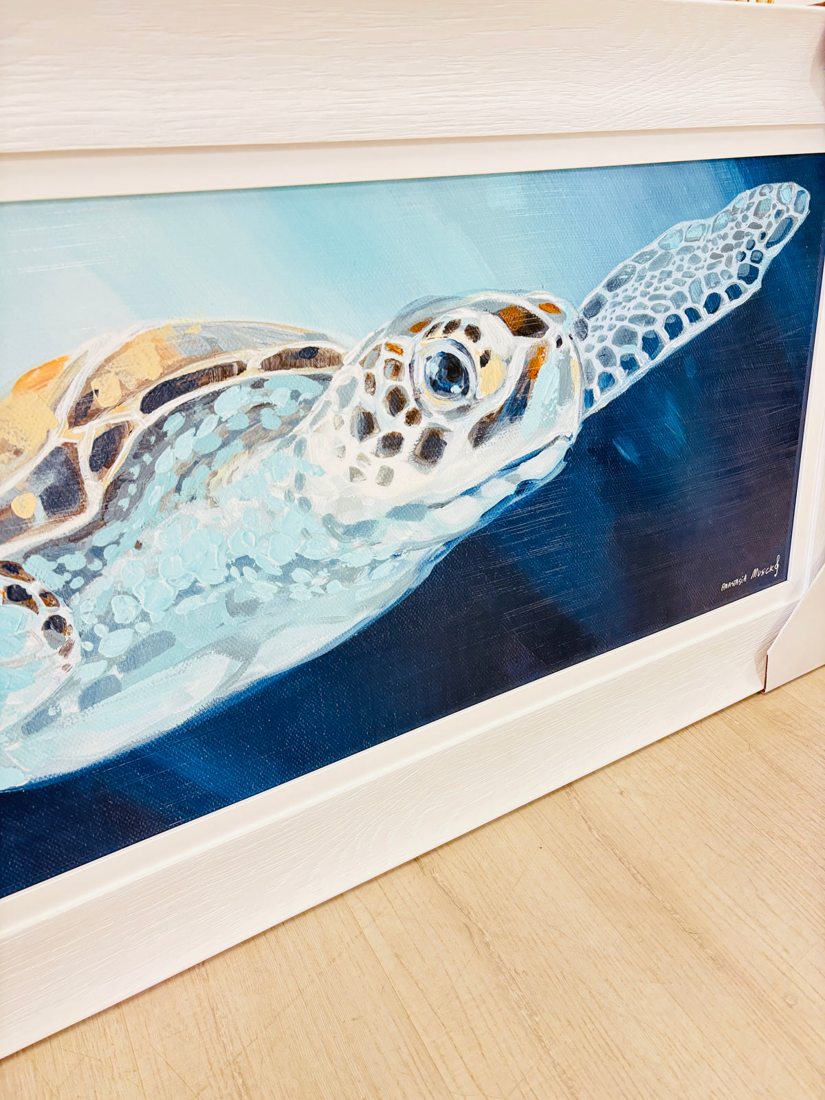 Solo Turtle Underwater Framed Print