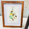 Assorted Christmas Trees Framed Seashell & Driftwood Art