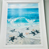 6 Hatchlings at Shoreline Framed Print