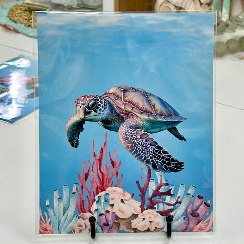 Assorted 8x10 Original Art Prints- Sea Turtles