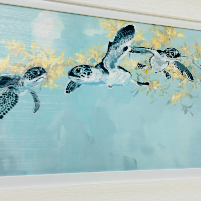 5 Baby Sea Turtles Swimming in Seaweed Framed Print