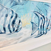 Bay Fish Framed Print