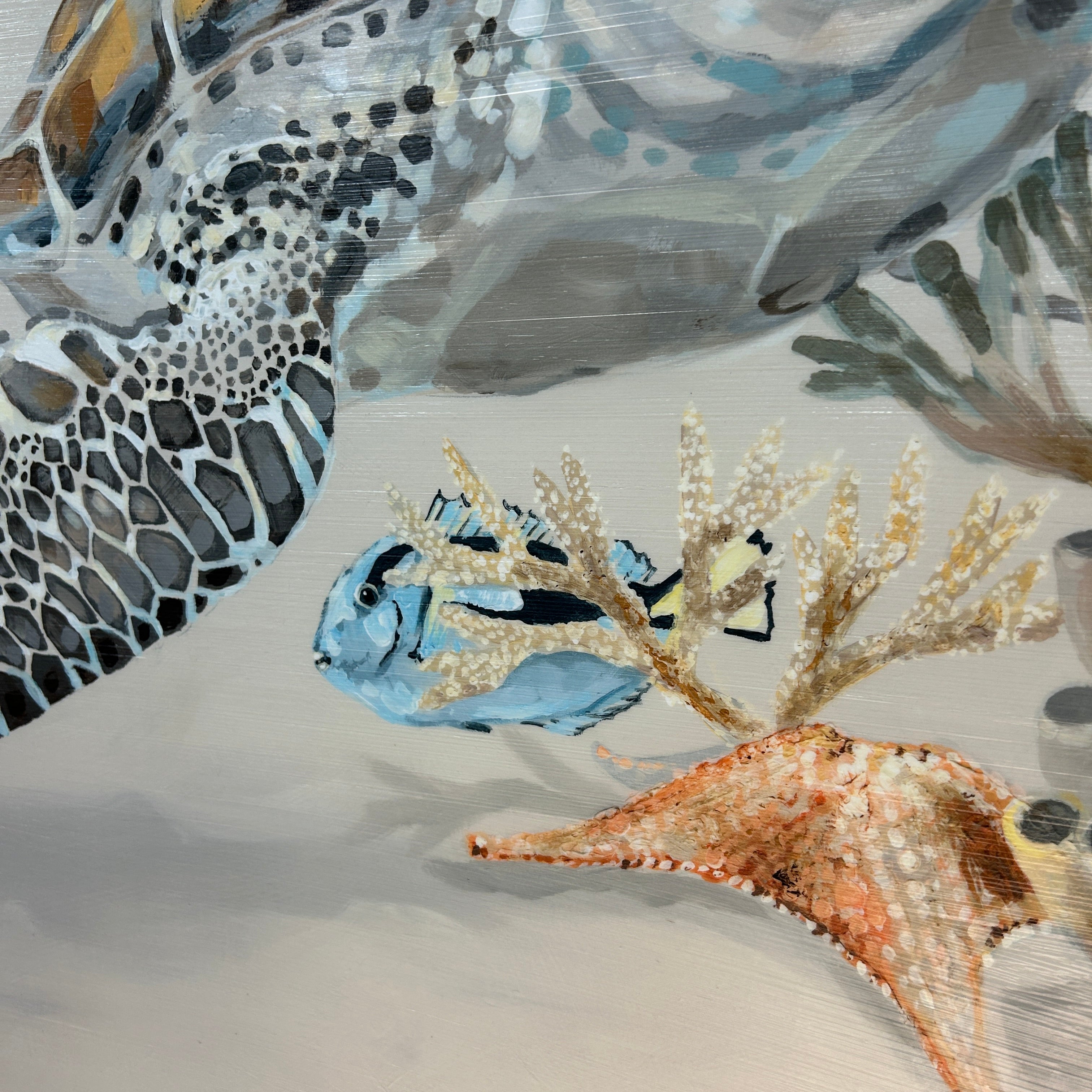 Turtle Duo in Coral Bed Framed Print – Sunshine & Sweet Pea's