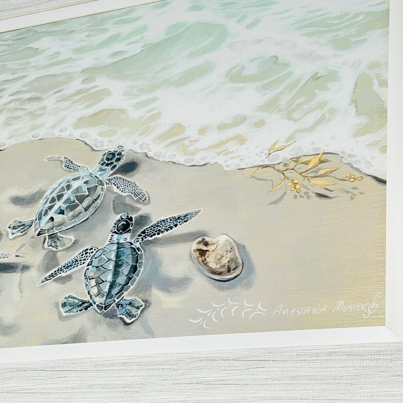 7 Turtles on Shore Framed Print