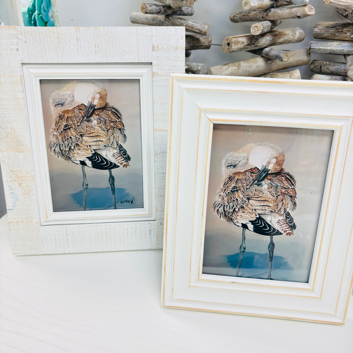 Assorted Artist Prints of Original Paintings: Birds