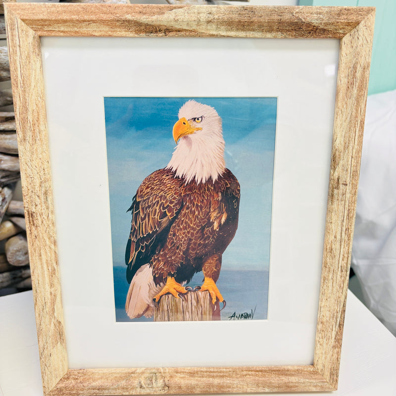 Assorted Artist Prints of Original Paintings: Birds