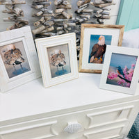 Assorted Artist Prints of Original Paintings: Birds
