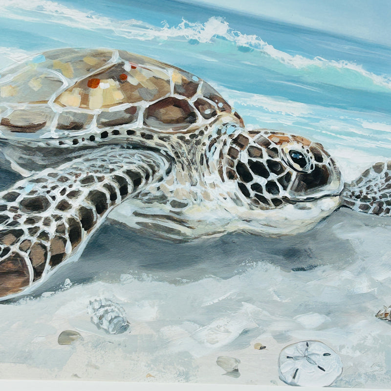 Solo Turtle on Shore Framed Print