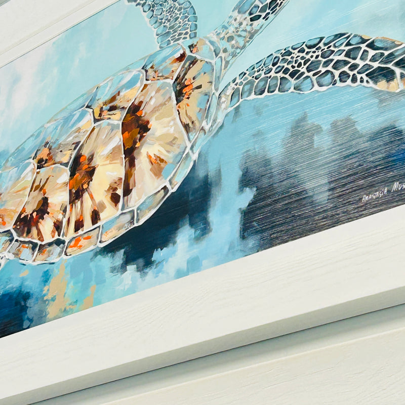 Solo Swimming Turtle Framed Print