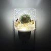 Acrylic Night Lights w/ Coastal Designs in Glass, Sand, Shells Resin Sunshine & Sweet Pea's Costal Decor