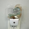 Acrylic Night Lights w/ Coastal Designs in Glass, Sand, Shells Resin Sunshine & Sweet Pea's Costal Decor