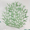 Assorted Glass Coral Wall Decor