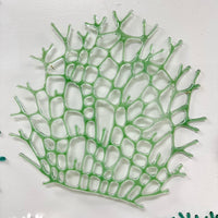 Assorted Glass Coral Wall Decor