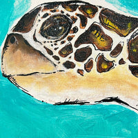 "Be Careful" Sea Turtle Original Painting Sunshine & Sweet Peas Coastal Decor