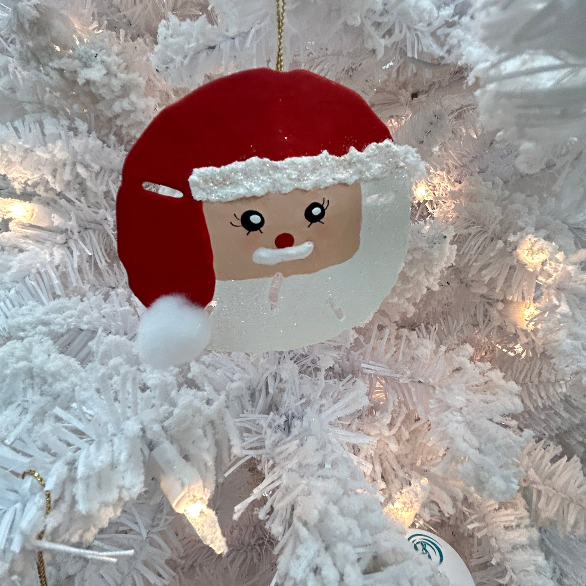 Assorted Sand Dollar Santa Faces Christmas Ornament Sunshine & Sweet Peas Coastal Decor