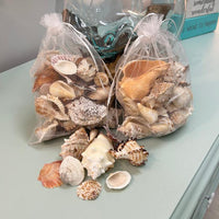 Assorted Seashell Mix 1lb Bag Sunshine & Sweet Peas Coastal Decor