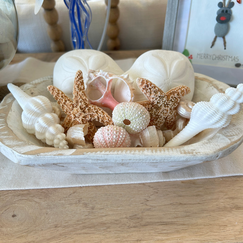 Small Hand Carved Rectangular Wooden Bowl Centerpiece w/ Sea Biscuits, Shells, and Starfish