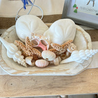 Small Hand Carved Rectangular Wooden Bowl Centerpiece w/ Sea Biscuits, Shells, and Starfish