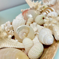 Large Hand Carved Oval Wooden Bowl Centerpiece w/ Shells & Starfish