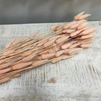 Bundle of Natural Dried Bunny Tail Florals Sunshine & Sweet Peas Coastal Decor