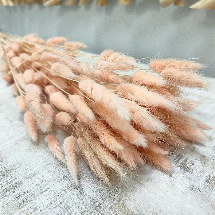 Bundle of Natural Dried Bunny Tail Florals Sunshine & Sweet Peas Coastal Decor