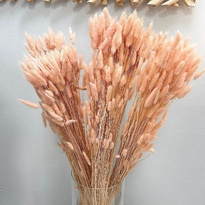 Bundle of Natural Dried Bunny Tail Florals Sunshine & Sweet Peas Coastal Decor