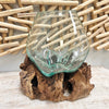 Large Mouthblown Glass Bowl on Driftwood Sunshine & Sweet Peas Coastal Decor