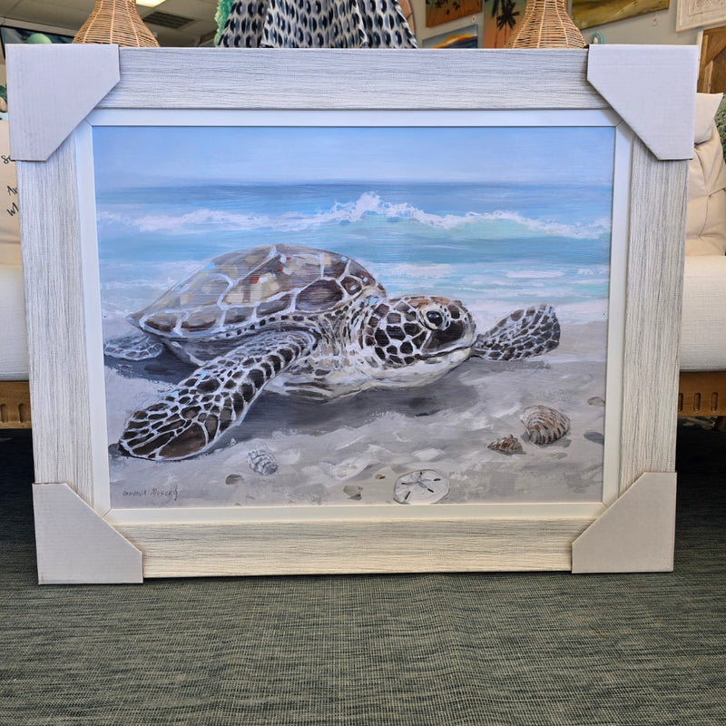 Sea Turtle Framed Original Art Prints Sunshine & Sweet Peas Coastal Decor