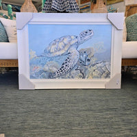 Sea Turtle Framed Original Art Prints Sunshine & Sweet Peas Coastal Decor