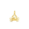 Collectible Travel Treasures™ Crab 14k Gold Vermeil Charm - Sunshine & Sweet Pea's Coastal Decor