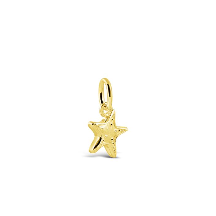 Collectible Travel Treasures™ 14k Gold Vermeil Starfish Charm - Sunshine & Sweet Pea's Coastal Decor