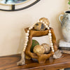 Two Tier Teak Root Tray