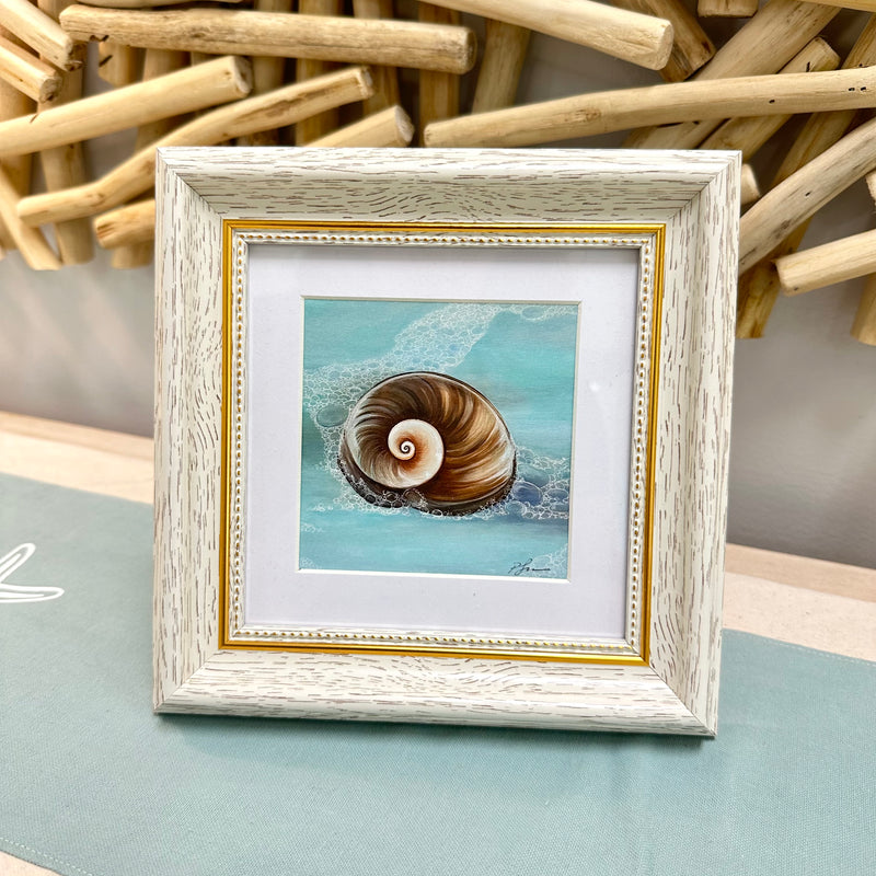 Nautilus Seashell Print
