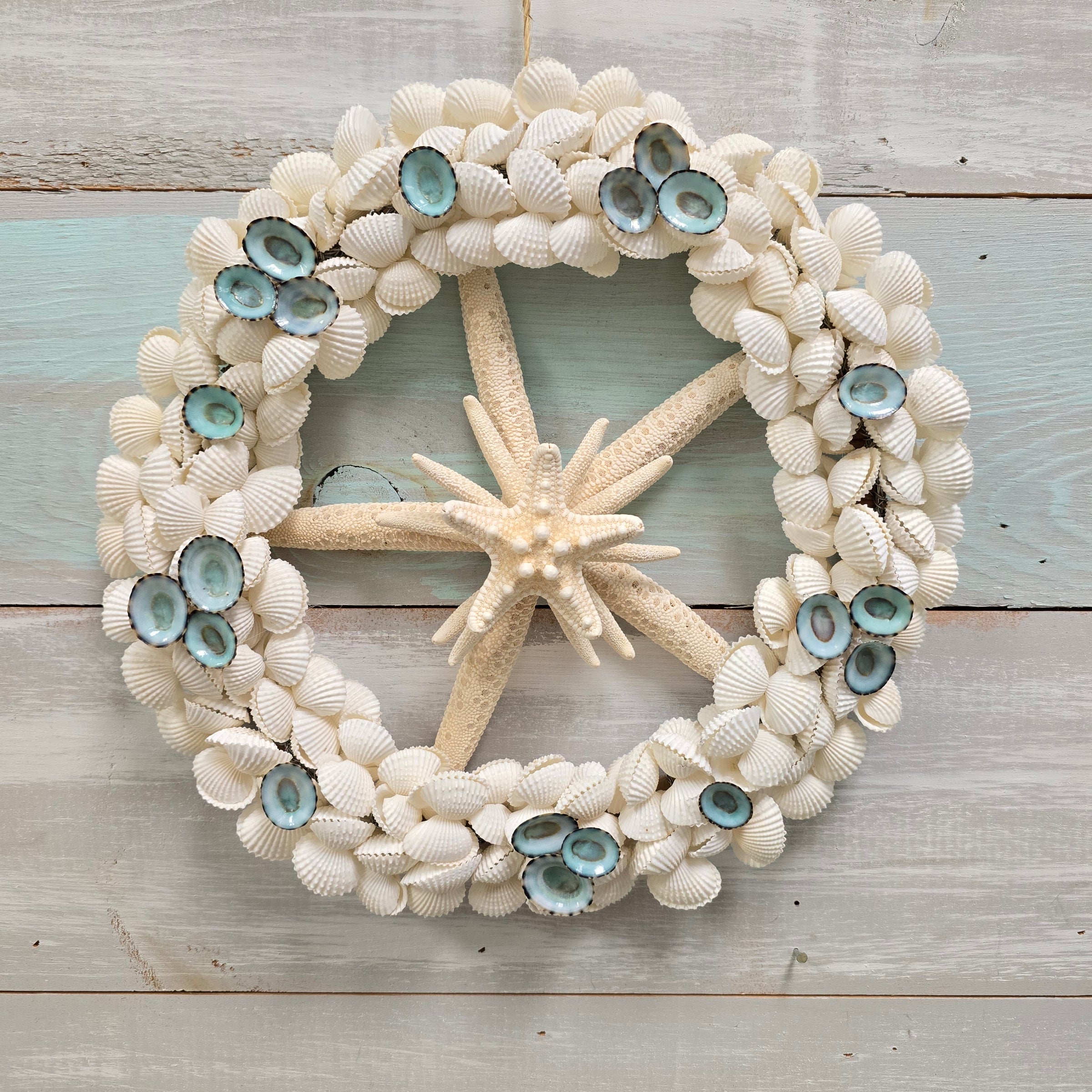 Assorted Seashell, Sea Life, and Sea Glass 12" Wreaths