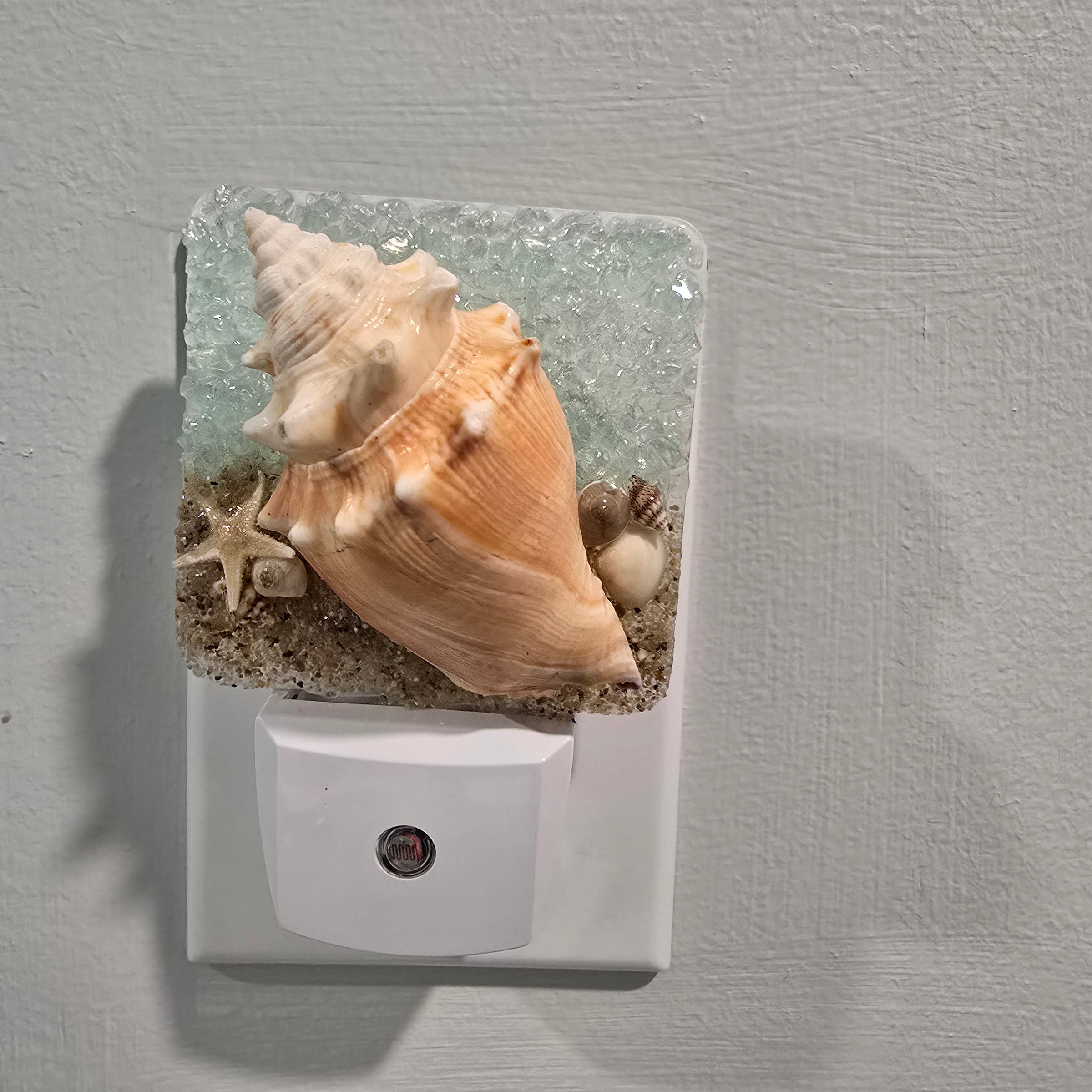 Acrylic Night Lights w/ Coastal Designs in Glass, Sand, Shells Resin