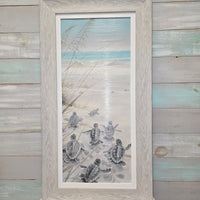 Sea Turtle Hatchlings on the Shore Framed Prints