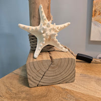 Driftwood, Starfish, and Rope Lamp- 30" Tall