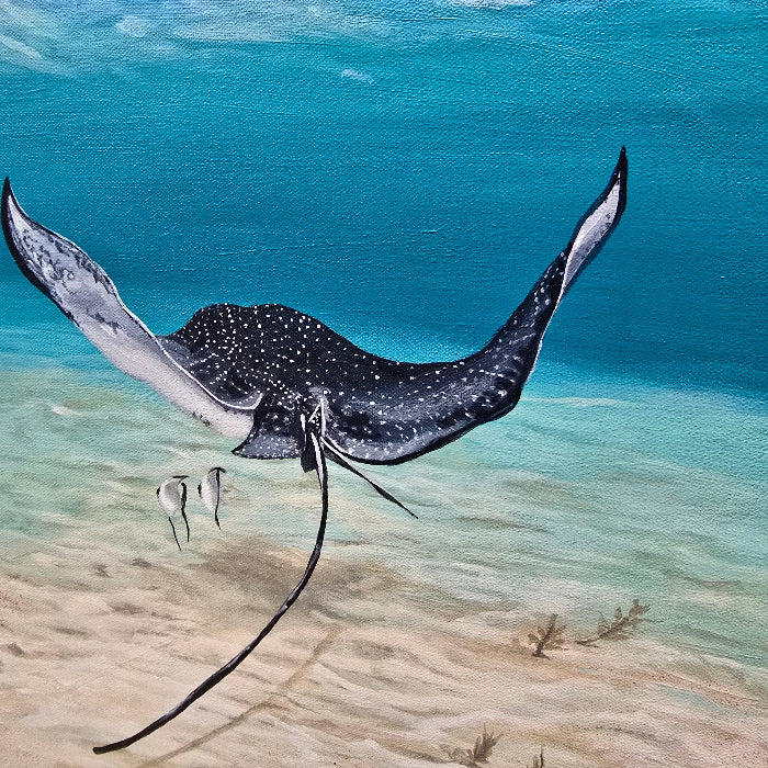 Spotted Eagle Ray on Canvas Sunshine & Sweet Peas Costal decor