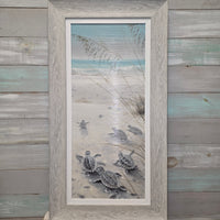 Sea Turtle Hatchlings on the Shore Framed Prints