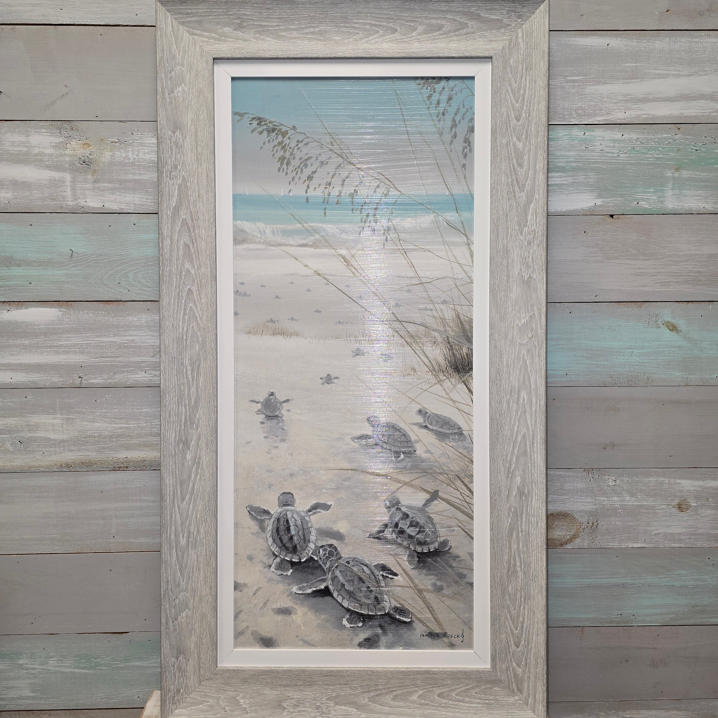 Sea Turtle Hatchlings on the Shore Framed Prints